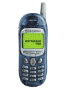 Best available price of Motorola T190 in Sudan