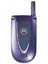 Best available price of Motorola V66i in Sudan